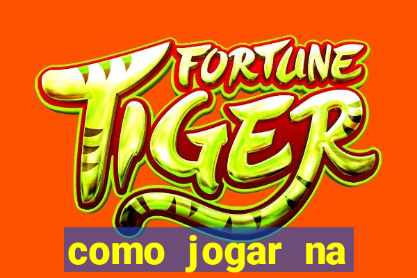 como jogar na lotinha do jogo do bicho